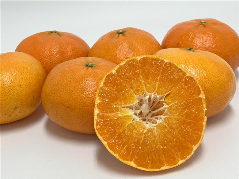 みかん 甘平 3kg ご家庭用 バラ詰め 愛媛 【2026年2月から順次発送予定】 数量限定 柑橘 フルーツ 国産 伊予侍ファーム 伊予市｜B458