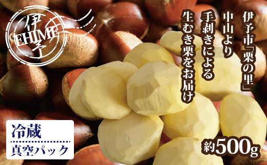 栗 むき栗 約500g 旧中山町産 数量限定 生栗 濃厚な甘み ホクホク 焼き栗 栗ごはん 伊予市 愛媛県 | B468