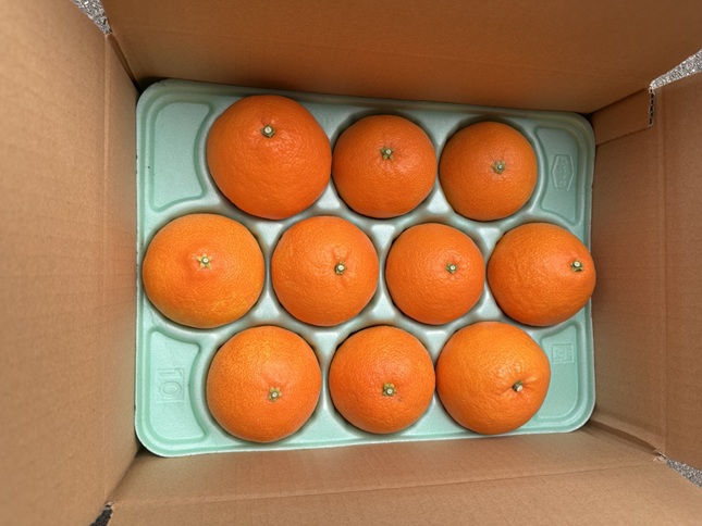 みかん 愛果28号 2Lサイズ 10玉 贈答用 紅まどんなと同一品種 農園直送 先行予約 【11月中旬から順次発送予定】 愛媛 数量限定 愛媛県産 人気 柑橘 伊予市｜ B532