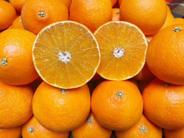 みかん 愛果28号 サイズミックス  約5kg ご家庭用 【11月下旬から順次発送予定】 紅まどんなと同一品種 愛媛 人気 柑橘 国産 フルーツ 伊豫果園 伊予市｜C107