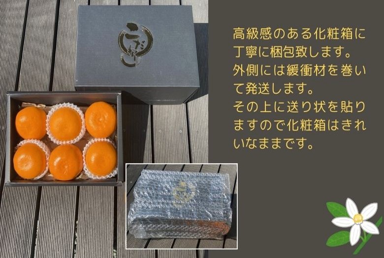 みかん 愛媛 せとか 約3kg 5～6玉（3L～4Lサイズ） 贈答用 化粧箱入り 先行予約 【2026年2月以降発送】 数量限定 愛媛県産 人気 柑橘 伊予市｜C123