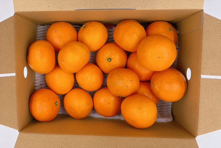 ハウスみかん&紅まどんな®のゼリー 【8月上旬から順次発送予定】人気 数量限定 柑橘 伊予市｜C126