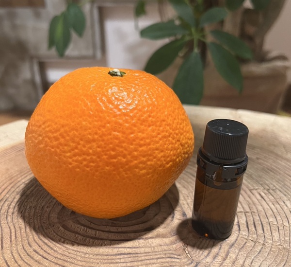 伊予柑  エッセンシャルオイル 10ml いよかん アロマオイル 精油 アロマ オーガニック 100％天然植物精油 天然 旅 愛媛 オイル 癒し グッズ 香り 虫除け 国産 雑貨 自然｜C127