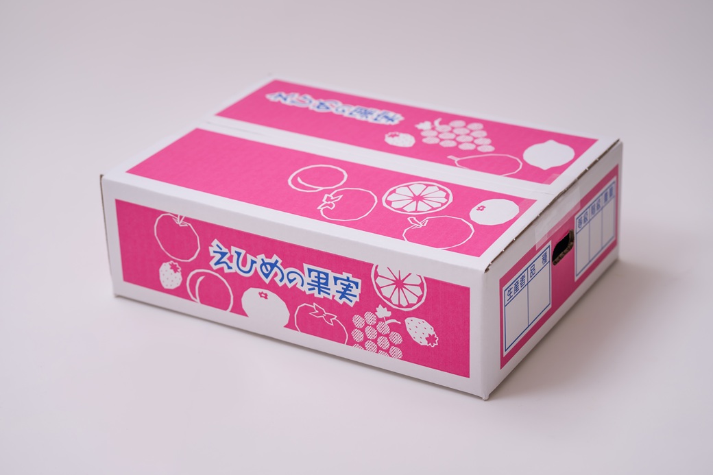 せとか みかん 愛媛 12玉 贈答用 人気 数量限定 先行予約 【2026年2月上旬以降発送】 柑橘 愛媛県産 伊予市｜C130