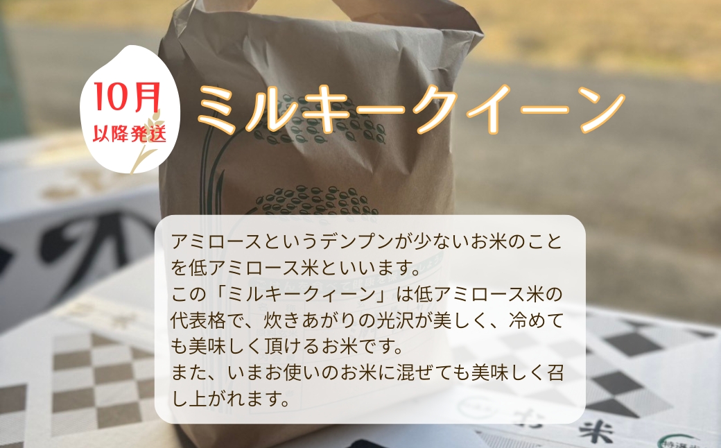 お米 令和7年産 新米 5kg ミルキークイーン 特別栽培米  先行予約 【2025年10月以降発送】 精米 米 こめ コメ 白米 ごはん ライス 愛媛 伊予市｜C152