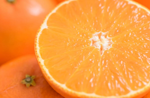 せとか バラ詰め 5kg 先行予約 【2026年2月以降発送】 愛媛 数量限定 愛媛県産 人気 柑橘 伊予市｜C55