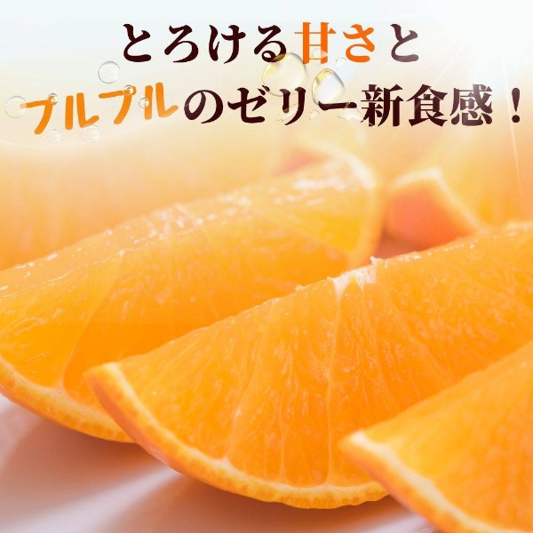 愛果28号 10玉入り 紅まどんな同一品種 先行予約 12月以降順次発送予定 愛媛 数量限定 愛媛県産 人気 柑橘 伊予市｜C56