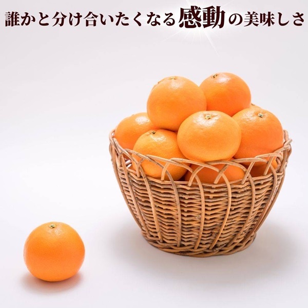 愛果28号 バラ詰め 5kg 紅まどんなと同一品種 みかん 先行予約 【12月以降順次発送予定】 愛媛 数量限定 愛媛県産 人気 柑橘 伊予市｜C57