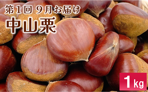 伊予市 特産定期便 全3回 中山栗・紅まどんな・伊予柑｜D48