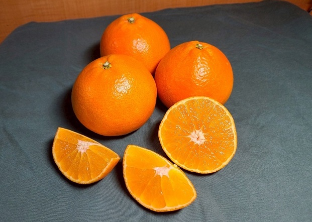 先行予約】愛果28号 みきゃんいっぱいボックス 3kg 贈答用