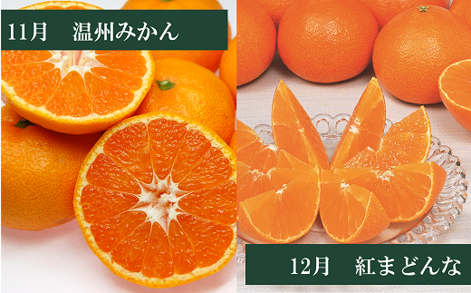 えひめかんきつ定期便（全６回）柑橘 紅まどんな 日の丸みかん 伊予柑 デコポン せとか 河内晩柑  | F01