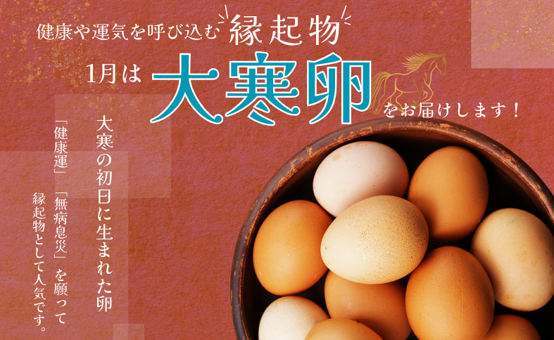 卵 たまご 30個 南伊予のうみたて卵 産地直送 南伊予養鶏 伊予市 愛媛 | A118