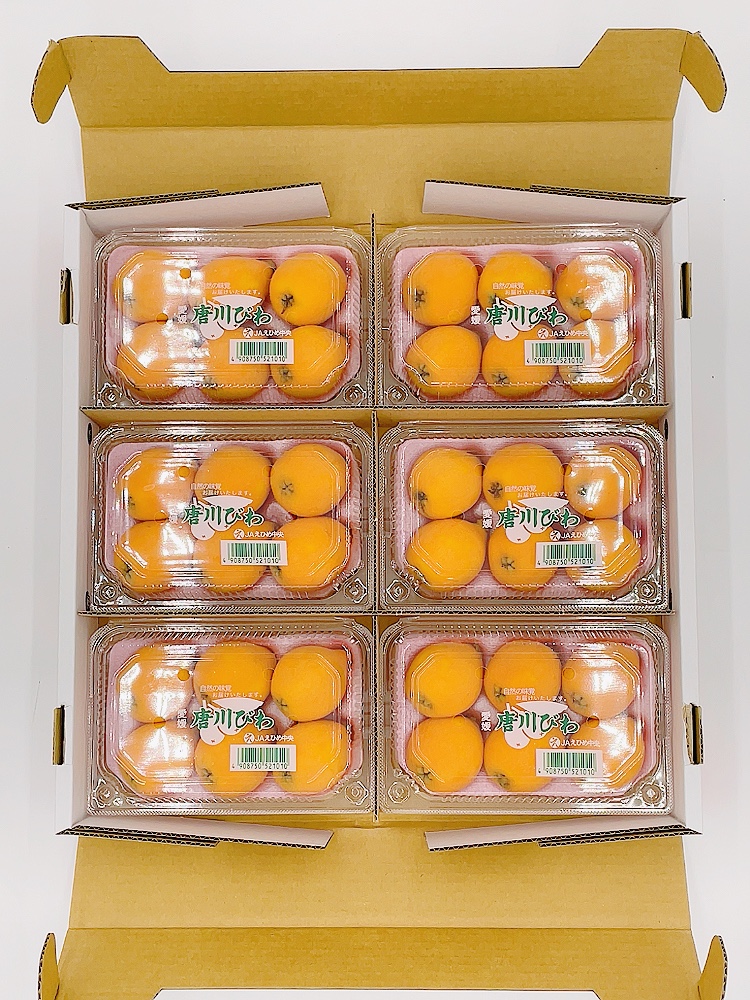 びわ 唐川びわ 先行予約 350g×6パック入り【2026年5月下旬以降発送】｜B124