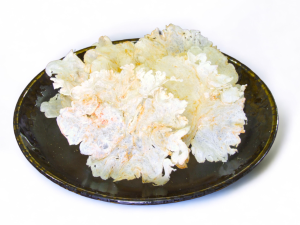 そのまんまえび 10個セット えびせん えび 海老 おやつ おつまみ 美味しい オカベ｜B133