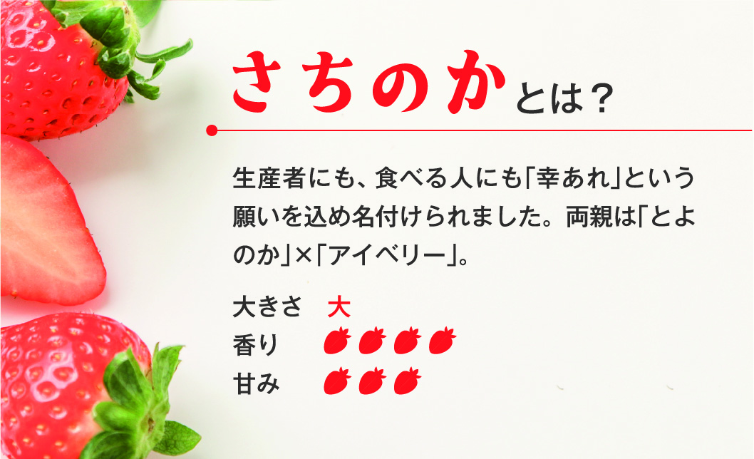 いちご さちのか・あまおとめ食べ比べセット 数量限定 農園直送 愛媛 人気 伊予市 くぼなか農園 ｜B14