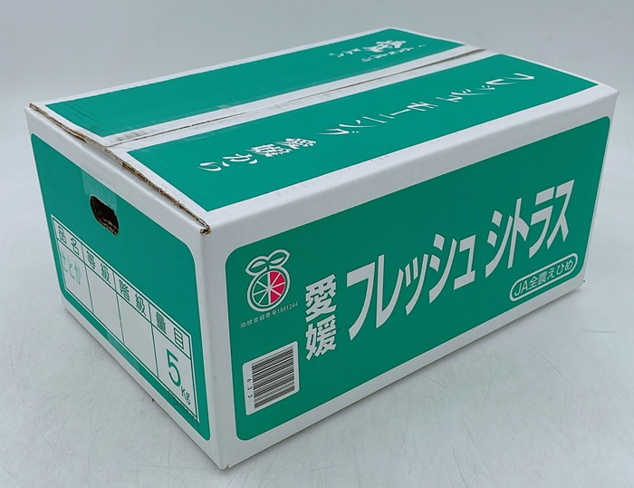 みかん 愛媛 せとか（約5kg）L～3Lサイズ ご家庭用 バラ詰め 【2月中旬から順次発送予定】 人気 数量限定 先行予約 柑橘 伊予市｜B193