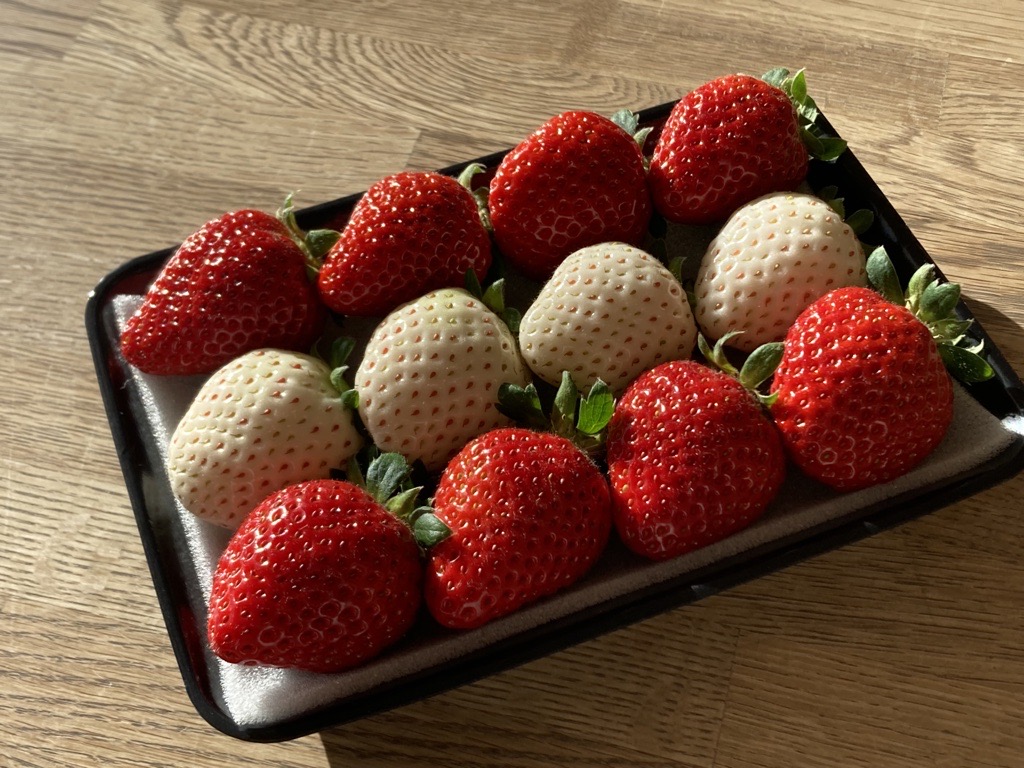 イチゴジャム 無添加 紅白いちご くぼなか農園 ミルクジャム おまかせ焼き菓子 ギフト 数量限定 農園直送 愛媛 人気 伊予市｜B208