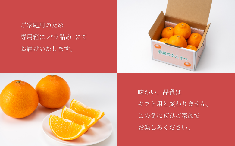 紅まどんな 1.5kg (5～13個) ご家庭用 愛媛みかん 愛果28号 紅マドンナ まどんな マドンナ みかん ミカン 蜜柑 果物 くだもの フルーツ 柑橘 かんきつ 柑橘類 愛媛果試第28号 あいか おすすめ 人気 自宅用 お取り寄せ 国産 愛媛 伊予市 【先行予約】 【数量限定】 ＜2025年11月下旬～順次発送＞｜B249