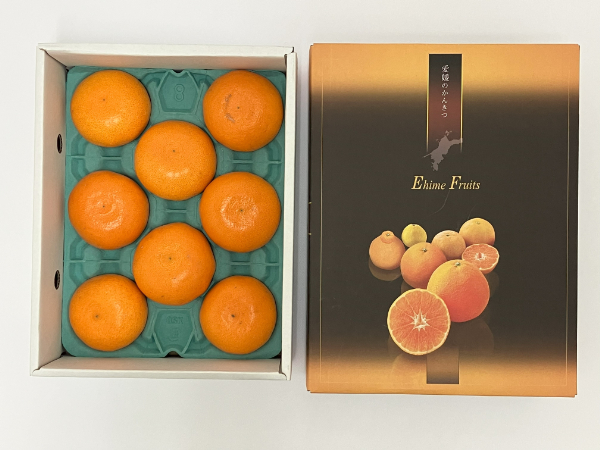 みかん 愛媛 せとか（1.5kg） 人気 数量限定 先行予約 【2026年2月下旬以降発送】 柑橘 伊予市｜B30