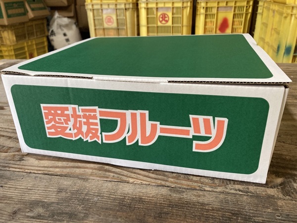 愛果28号 2kg みかん 紅まどんなと同一品種 農園直送 先行予約 12月から順次発送 愛媛 数量限定 愛媛県産 人気 柑橘 伊予市｜B333
