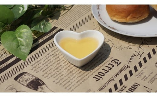 はちみつ びわ蜜×２本【2026年1月末以降発送】藤田養蜂場 ハチミツ 蜂蜜｜B38