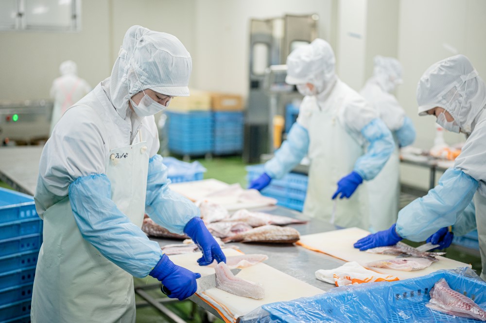 チダイ切り身 骨取 冷凍 鯛 タイ 10切×2パック 白身魚 鮮魚 焼き魚 天ぷら 煮物 北風鮮魚 愛媛県 伊予市 | B403