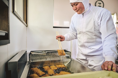 がんす 冷凍 20枚 おつまみ 練り物 おいしい 地元で人気 からき天ぷら店 | B409