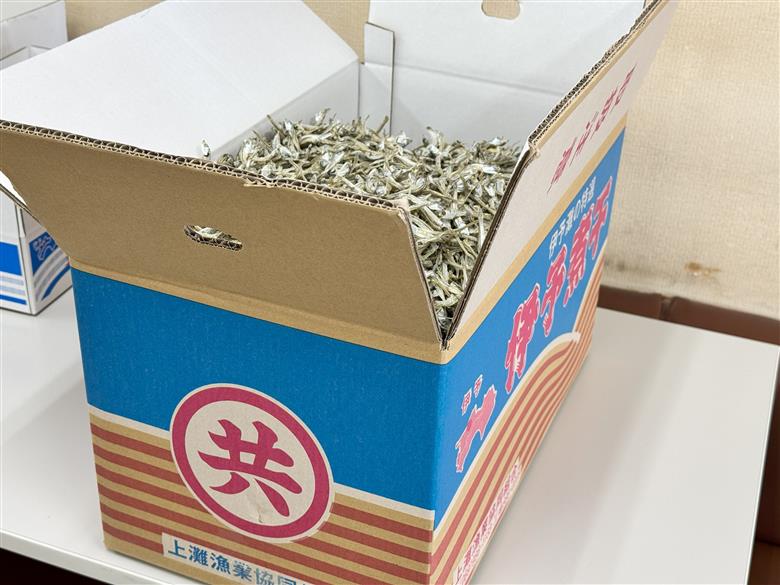 伊予煮干 いりこ 2kg 【10月以降発送】 伊予灘産 瀬戸内海 出汁 料理 おやつ カルシウム 健康 サクサク食感 海の幸 海産物 乾物 魚介類 おつまみ 保存食 特産品 愛媛 伊予市｜B422