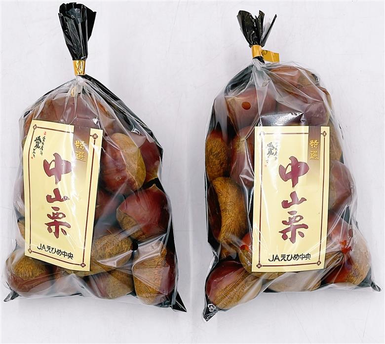 中山栗 L～4Lサイズ 1kg 愛媛県ブランド 大粒 濃厚な甘み ホクホク 焼き栗 栗ごはん 中山町 伊予市 愛媛 | B423