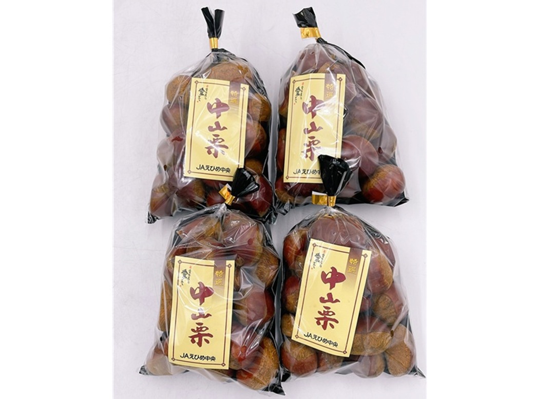 中山栗 L～4Lサイズ 2kg 愛媛県ブランド 大粒 濃厚な甘み ホクホク 焼き栗 栗ごはん 中山町 伊予市 愛媛 | B424