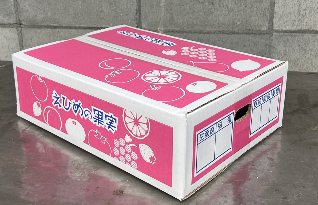 愛果28号 約3.3kg ご家庭用 みかん 紅まどんなと同品種 柑橘 愛媛 【12月から順次発送予定】 先行予約 数量限定 人気 伊予市｜B456