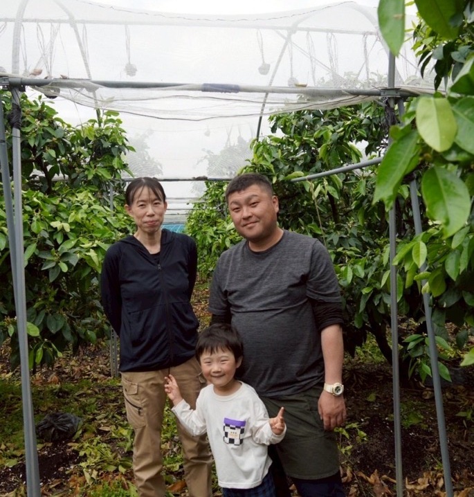 みかん 甘平 3kg ご家庭用 バラ詰め 愛媛 【2026年2月から順次発送予定】 数量限定 柑橘 フルーツ 国産 伊予侍ファーム 伊予市｜B458