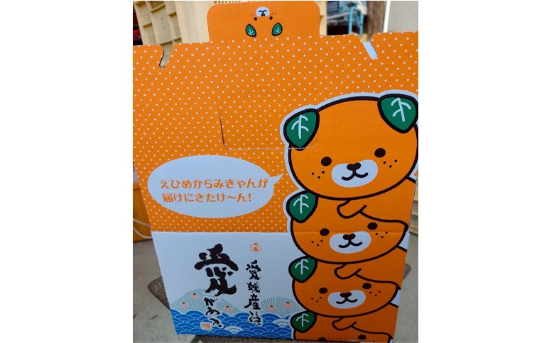 愛果28号 3㎏ みきゃんいっぱいボックス ご家庭用 サイズミックス バラ詰め 紅まどんなと同一品種 みかん 柑橘 愛媛 【12月から順次発送予定】 先行予約 数量限定 人気 伊予侍ファーム 伊予市｜B460