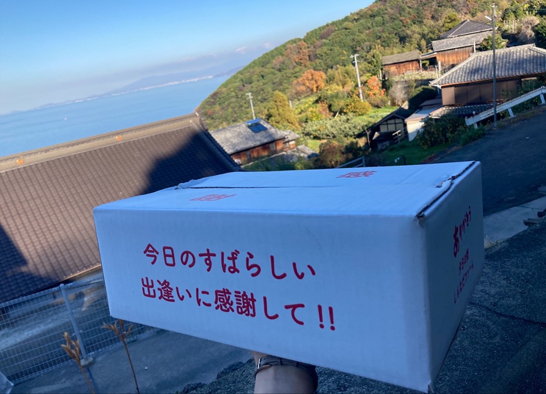 みかん 愛果28号 Lサイズ 12玉 贈答用 紅まどんなと同一品種 農園直送 先行予約 【11月中旬から順次発送予定】 愛媛 数量限定 愛媛県産 人気 柑橘 伊予市｜ B531