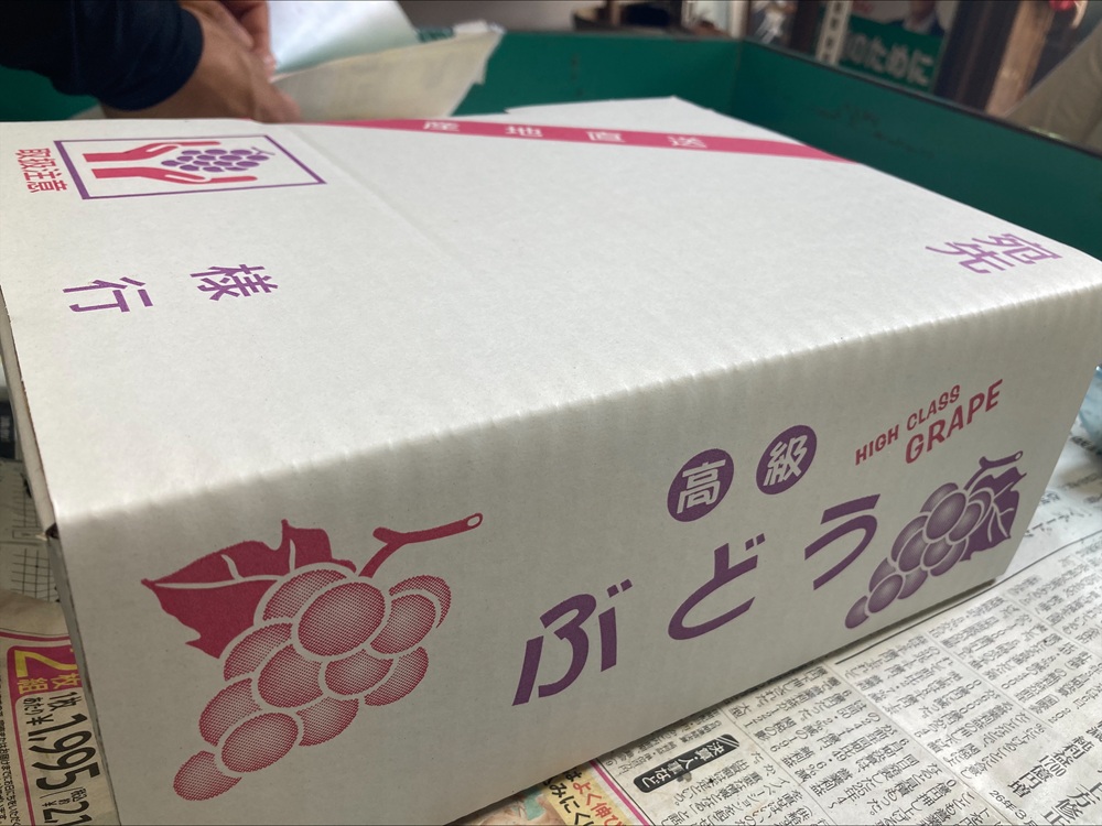 シャインマスカット 約2kg 【2026年先行予約・2026年9月から順次発送予定】 ぶどう 葡萄 果物 愛媛 人気 伊豫果園  伊予市｜C108