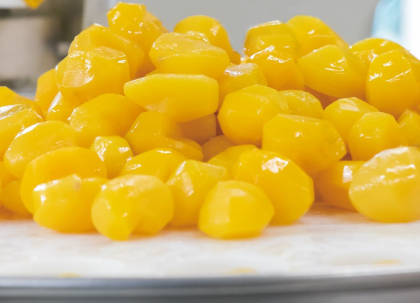 中山栗 2kg 秀2Lまたは3Lサイズ 日本三大栗 国産 栗きんとん 栗ご飯 甘露煮 マロン 焼き栗 茹で栗 渋皮煮 栗おこわ モンブラン 秋の味覚 特産品 愛媛県 伊予市 伊予市ブランド認定品 【季節限定】 【数量限定】 | C11