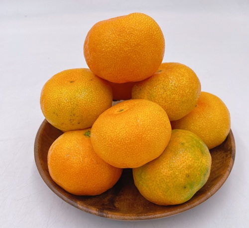 ハウスみかん&紅まどんな®のゼリー 【8月上旬から順次発送予定】人気 数量限定 柑橘 伊予市｜C126