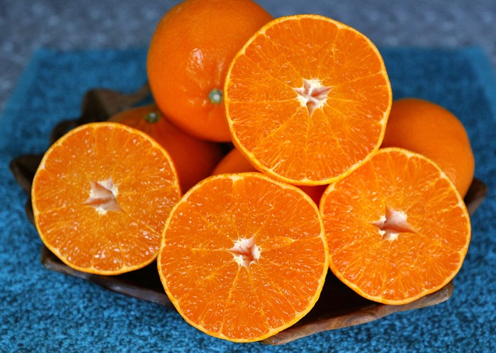 せとか みかん 愛媛 12玉 贈答用 人気 数量限定 先行予約 【2026年2月上旬以降発送】 柑橘 愛媛県産 伊予市｜C130