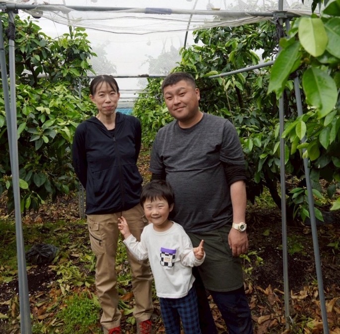 みかん 訳あり 愛果28号 紅まどんなと同一品種 5kg サイズミックス ご家庭用 【2025年12月から順次発送予定】 愛媛 人気 数量限定 先行予約 柑橘 伊予侍ファーム 伊予市｜C137