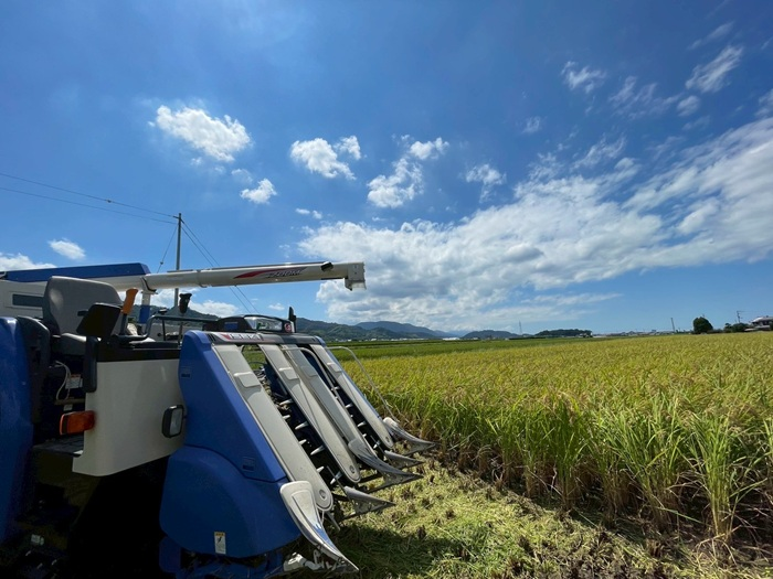 お米 令和7年産 新米 5kg ヒノヒカリ 特別栽培米  先行予約  【2025年11月以降発送】 精米 米 こめ コメ 白米 ごはん ライス 愛媛 伊予市｜C149