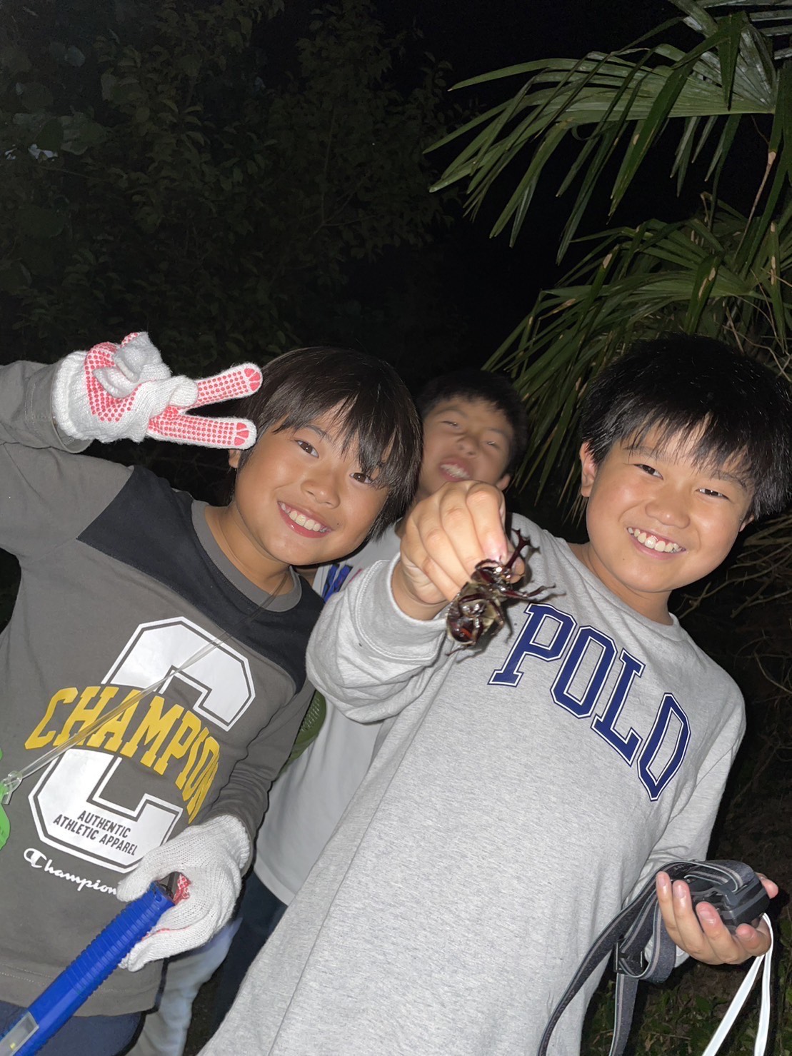 虫採り合宿（カブトムシ・クワガタ）in伊予市～向井虫店プレゼンツ～ 虫採り体験 体験型 虫 虫好き カブトムシ ヒラタクワガタ ノコギリクワガタ コクワガタ 愛媛県 伊予市 | C40