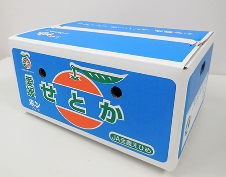 みかん 愛媛 せとか（露地）赤秀・青秀いずれか 【2026年2月下旬から順次発送予定】 約5kg Ｌ～3Ｌ 人気 数量限定 柑橘 伊予市｜C44