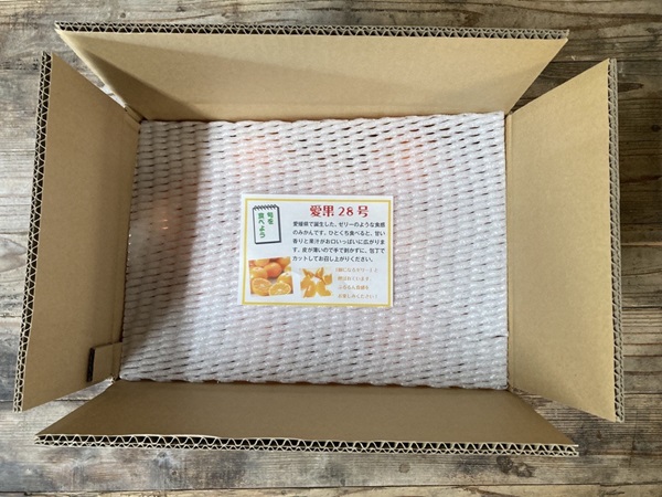 愛果28号 5kg バラ詰め みかん 紅まどんなと同一品種 農園直送 先行予約 12月から順次発送 愛媛 数量限定 愛媛県産 人気 柑橘 伊予市｜C92