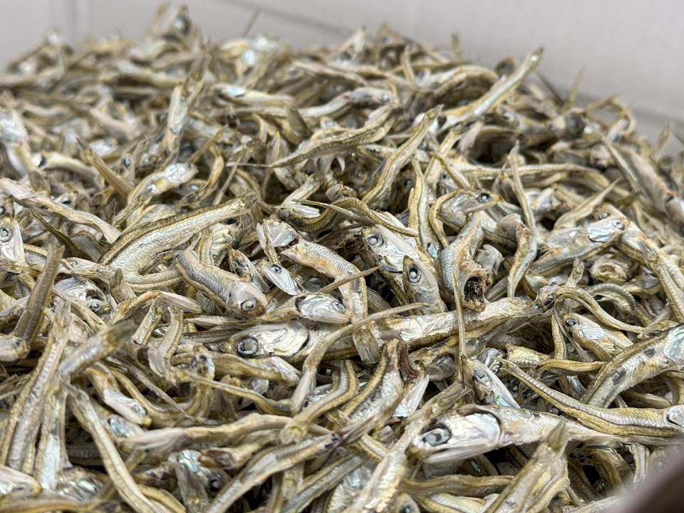 伊予煮干 いりこ 7kg 【10月以降発送】 伊予灘産 瀬戸内海 出汁 料理 おやつ カルシウム 健康 サクサク食感 海の幸 海産物 乾物 魚介類 おつまみ 保存食 特産品 愛媛 伊予市｜D47