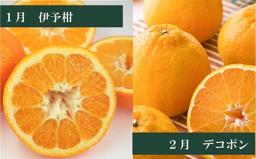 えひめかんきつ定期便（全６回）柑橘 紅まどんな 日の丸みかん 伊予柑 デコポン せとか 河内晩柑  | F01