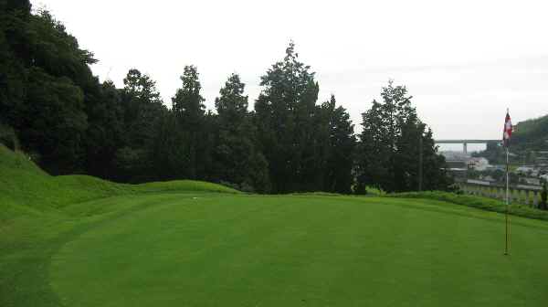 ゴルフ場 利用券 平日限定 ゴルフプレーチケット 12回分 周り放題 伊予カントリークラブ 愛媛 伊予市｜F19