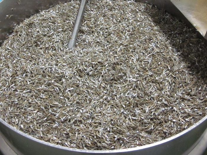 無添加 アーモンドフィッシュ 給食 250g×1袋【栄養機能食品】人気 カルシウム 小魚 おやつ おつまみ おすすめ 大容量 瀬戸内海産 かたくちいわし 美味しい おいしい 阿川食品株式会社 | A112