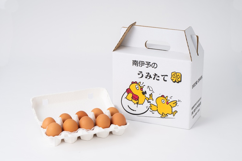 卵 たまご 40個 南伊予のうみたて卵 産地直送 南伊予養鶏 伊予市 愛媛 | A117