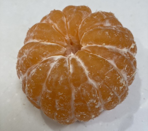 早生みかん 3kg ご家庭用 農園直送 先行予約 【11月以降順次発送予定】 愛媛 数量限定 愛媛県産 人気 柑橘 伊予市｜ A99