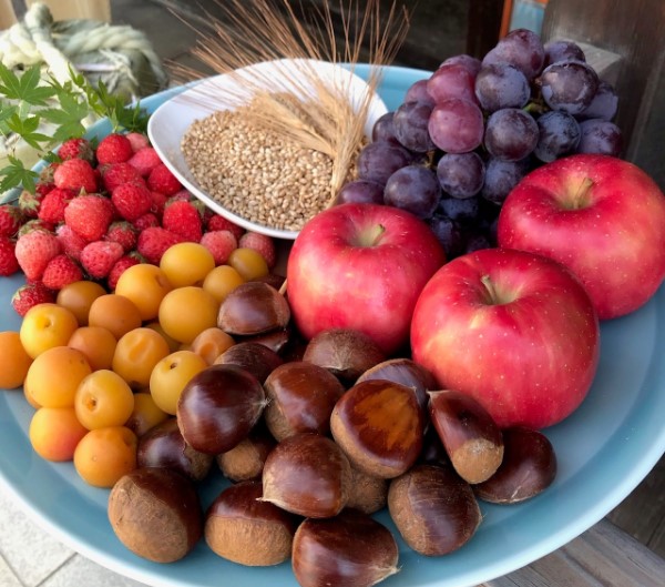 道後ジン　六媛・トニックセット（G6-200）クラフトジン　トニックウォーター　愛媛県産　ボタニカル｜B02